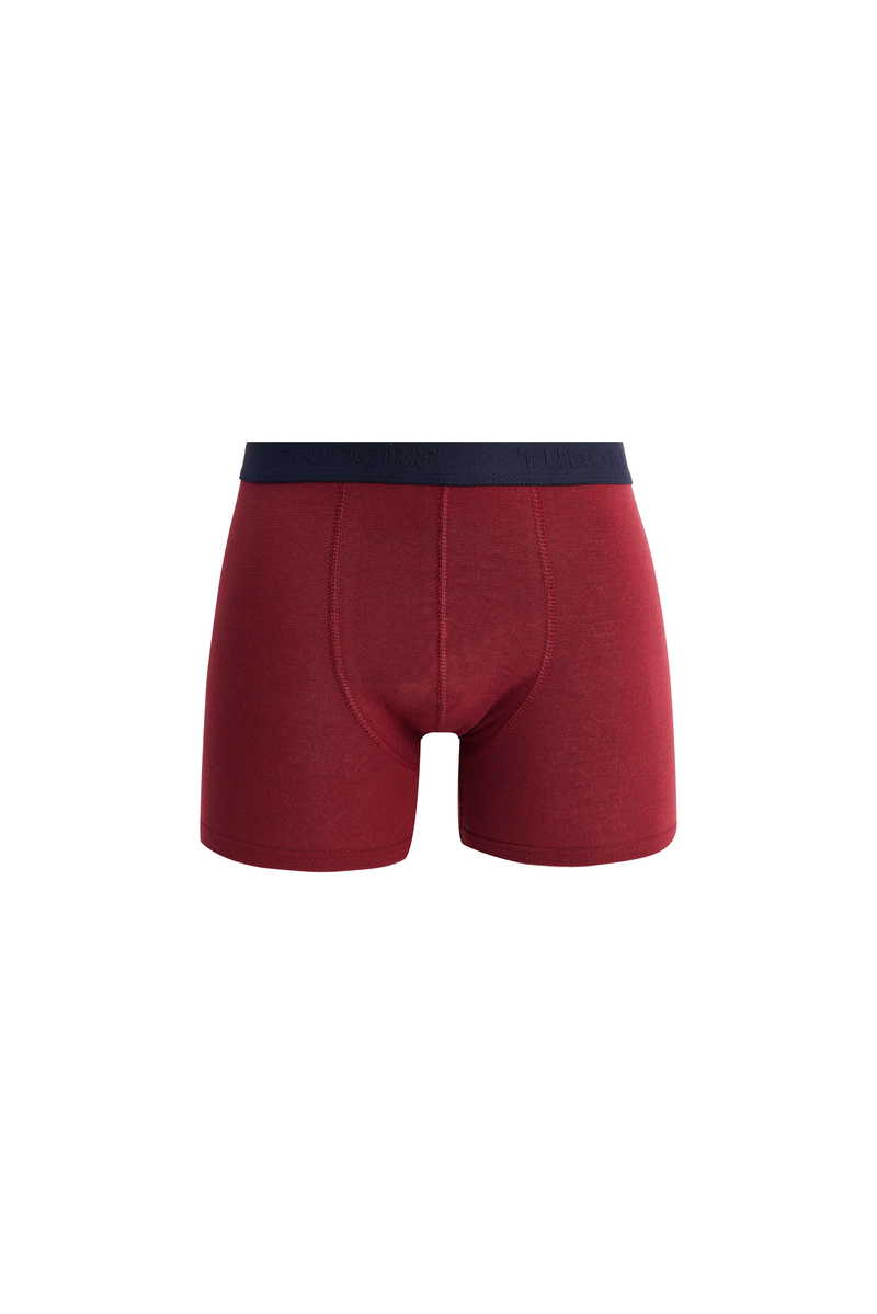 Plain Boxer Plain Boxer