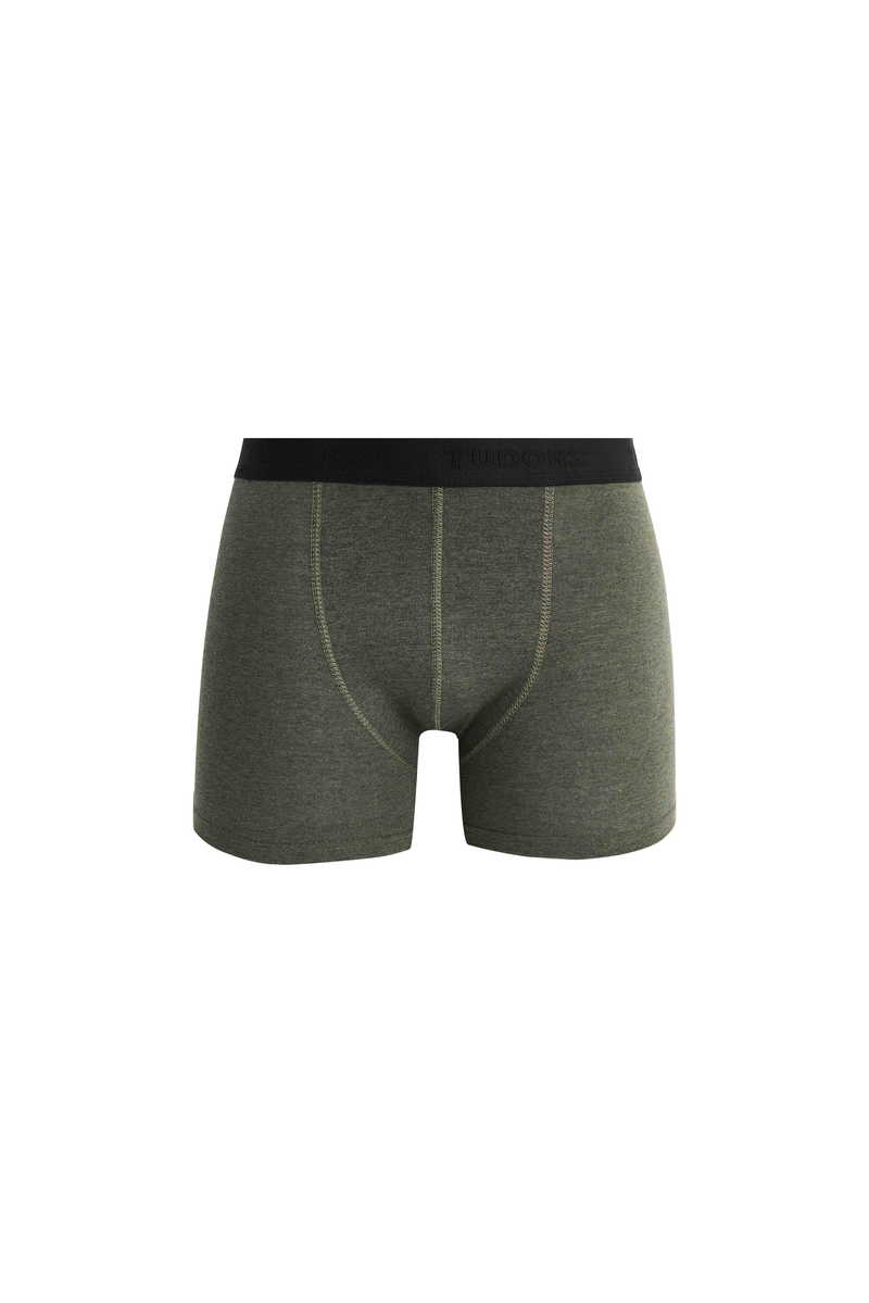 Plain Boxer Plain Boxer