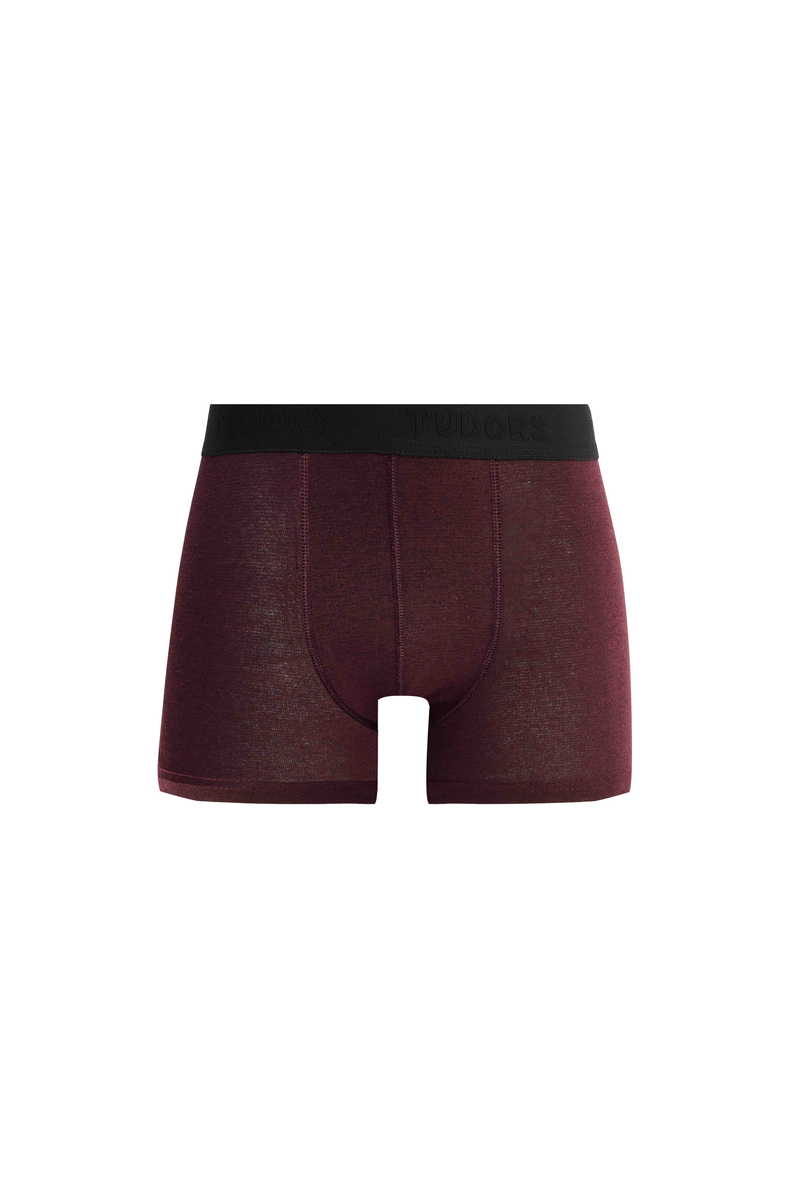 Plain Boxer Plain Boxer