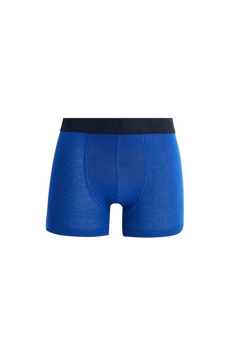 Plain Boxer Plain Boxer