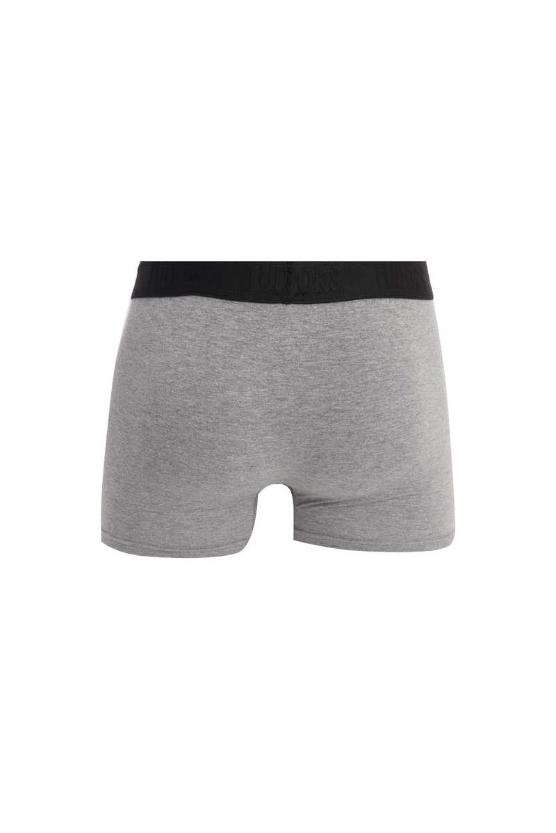 Boxer Boxer