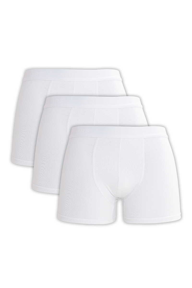 White Boxer White Boxer
