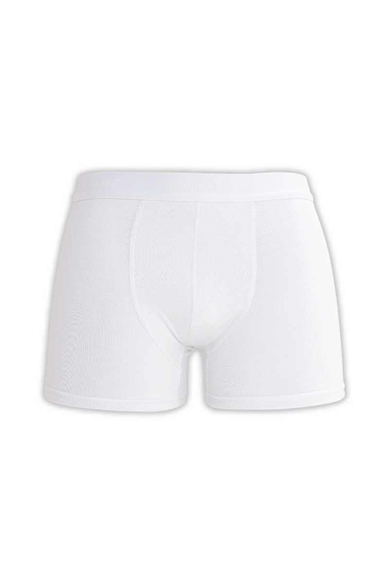 White Boxer White Boxer