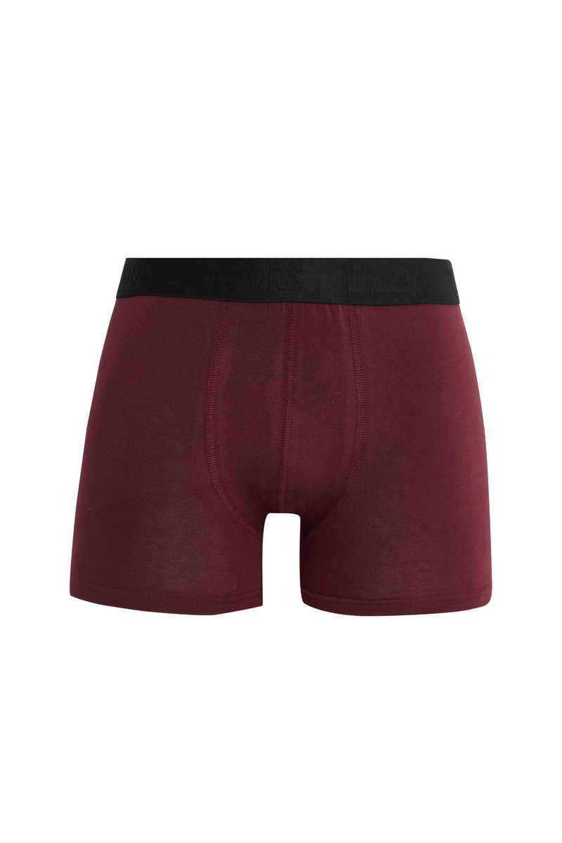 Boxer Boxer