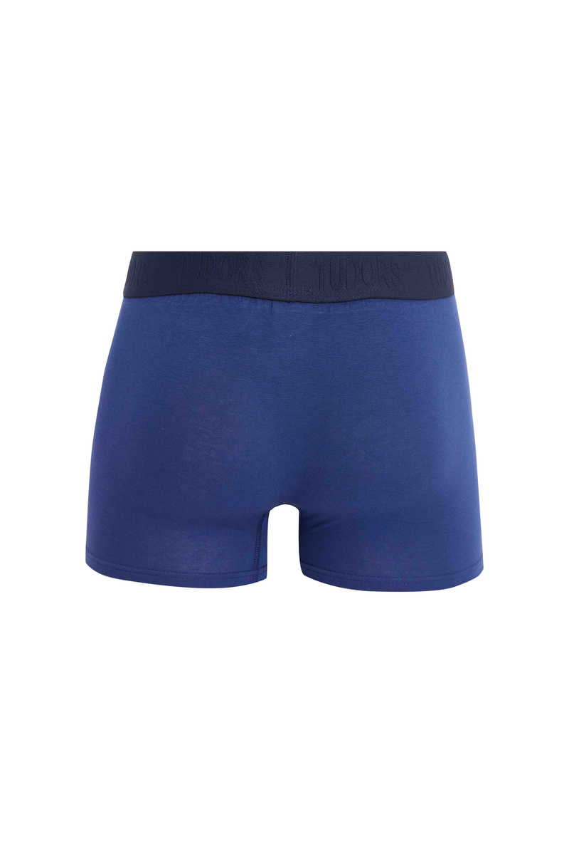 Boxer Boxer