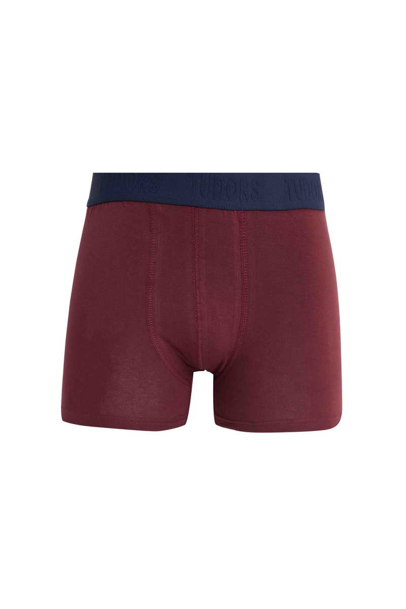 Boxer Boxer