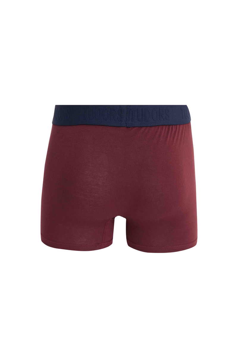 Boxer Boxer