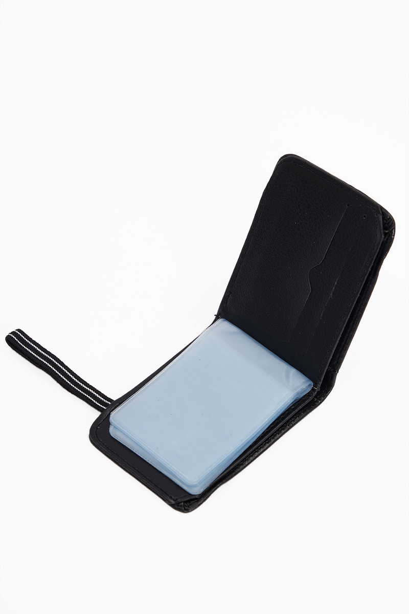  Црна Паричник