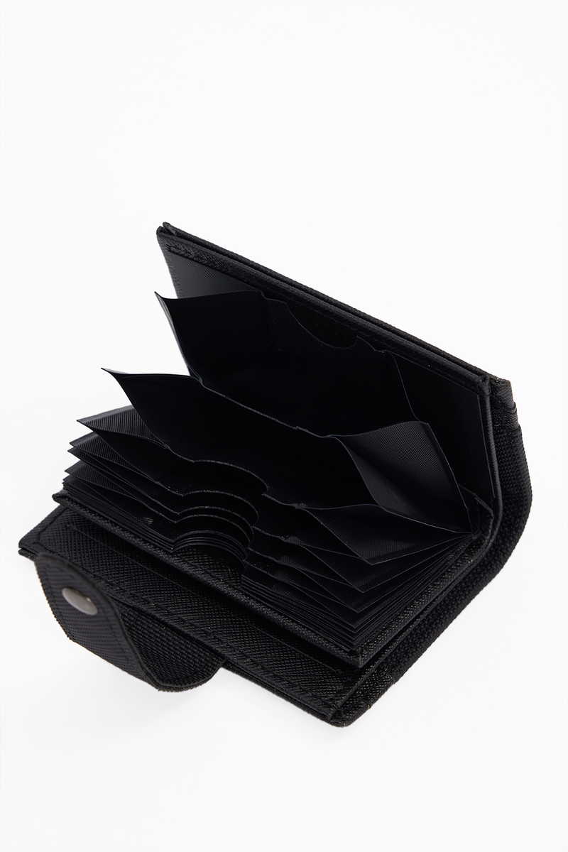  Црна Паричник