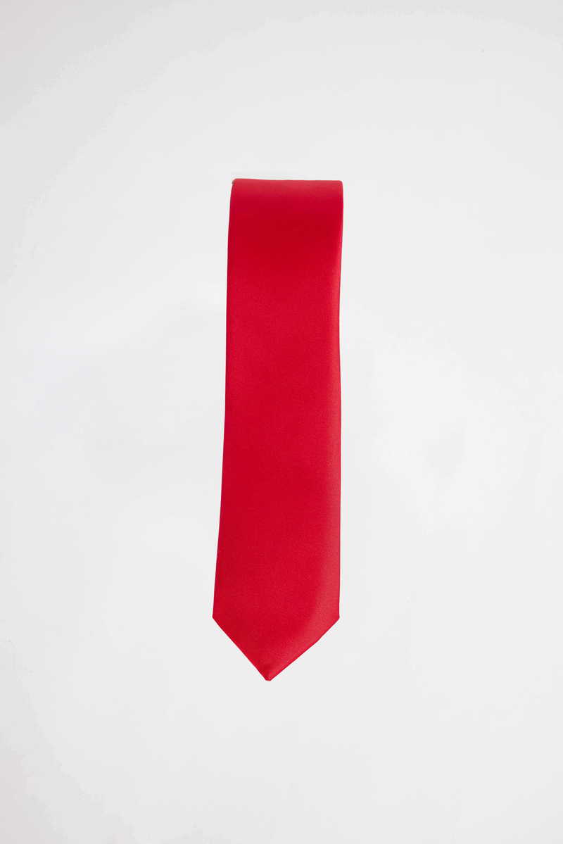 Plain Red Tie Plain Red Tie