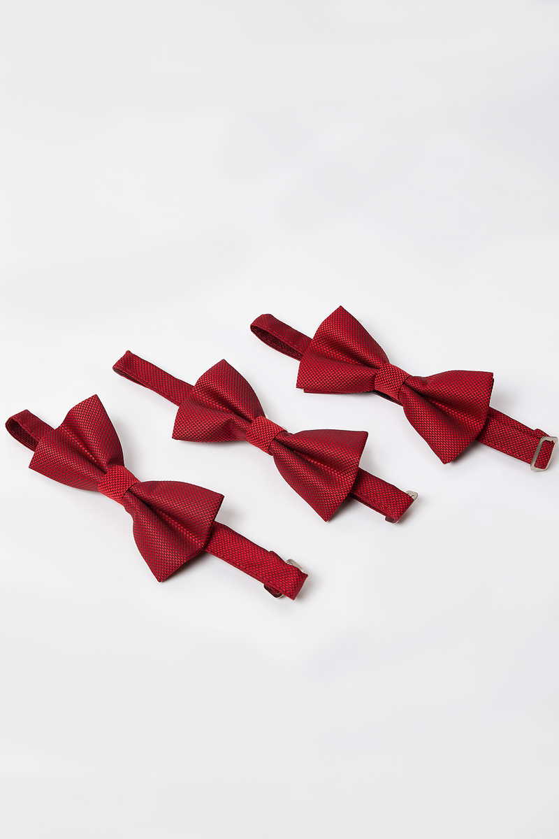 S uzorkom  Leptir mašna