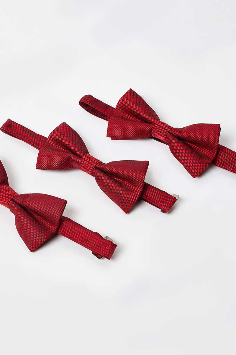 S uzorkom Leptir mašna S uzorkom Leptir mašna