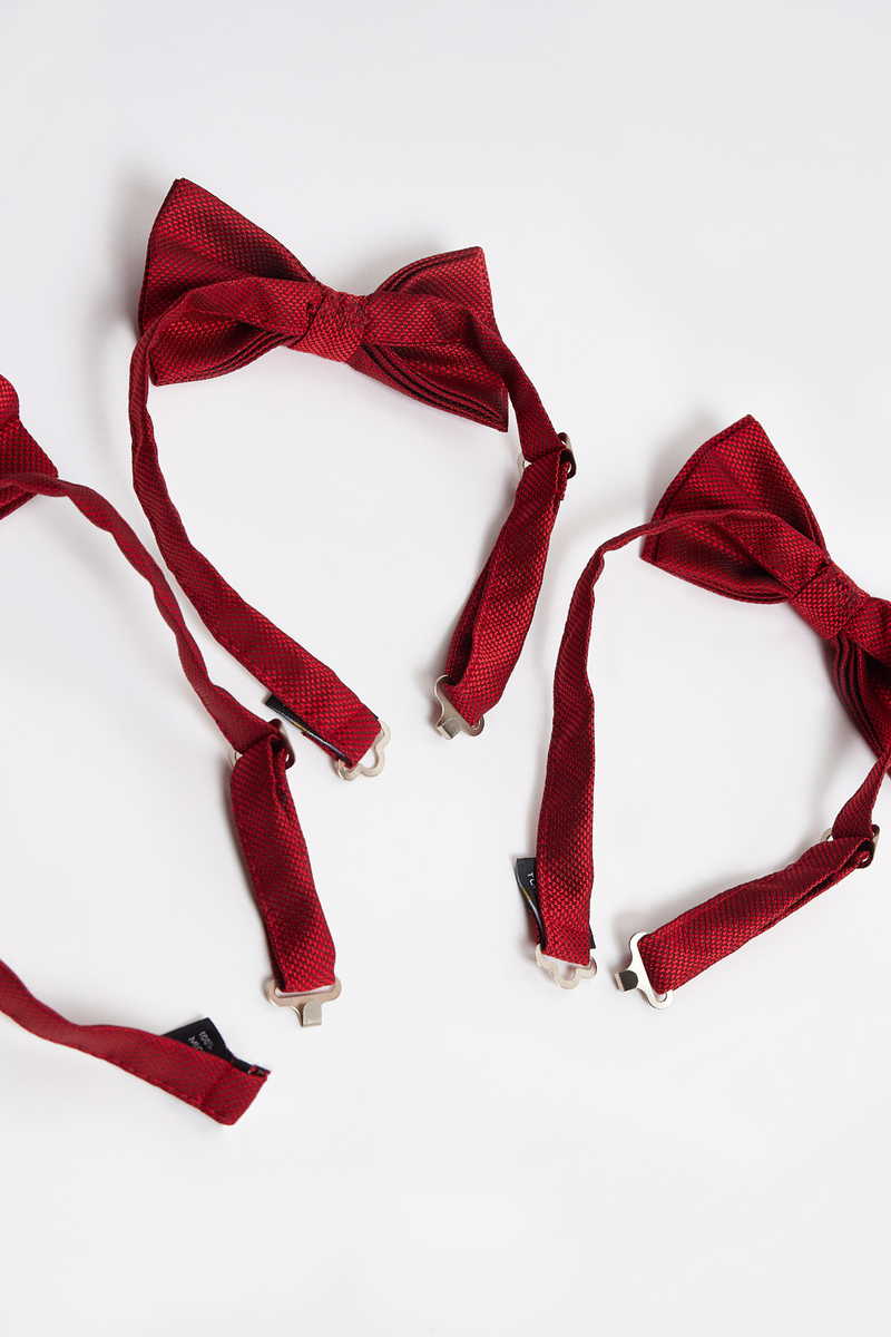 S uzorkom Leptir mašna S uzorkom Leptir mašna