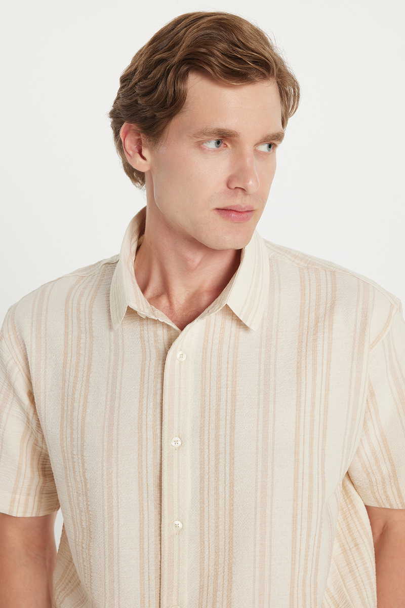 Striped Shirt Striped Shirt