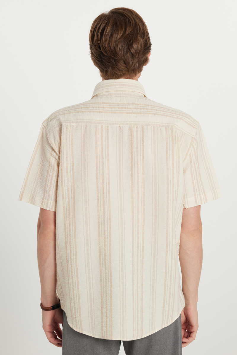 Striped Shirt Striped Shirt