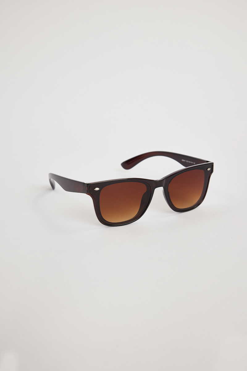 Plain Brown Sunglasses Plain Brown Sunglasses