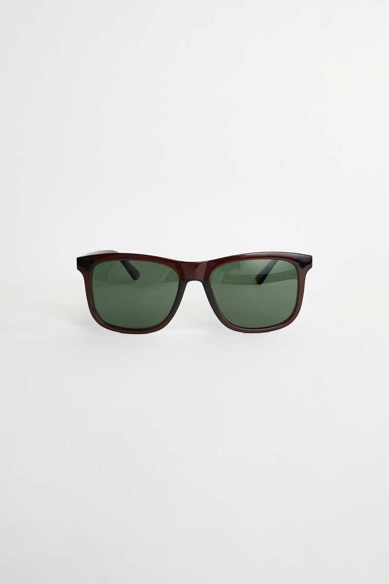 Plain Brown Sunglasses
