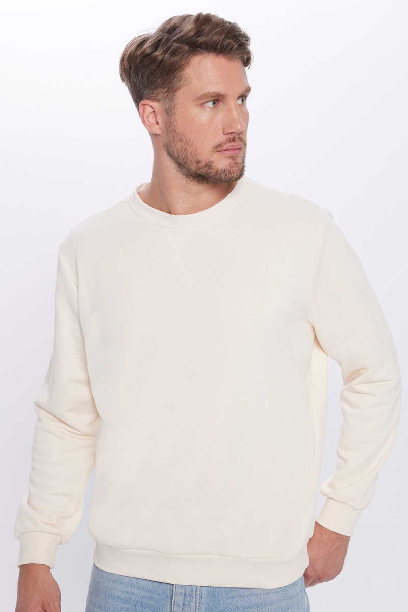 Plain Beige Sweatshirt