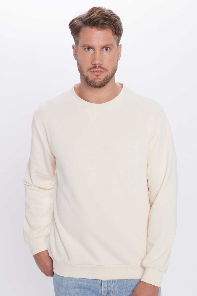 Plain Beige Sweatshirt