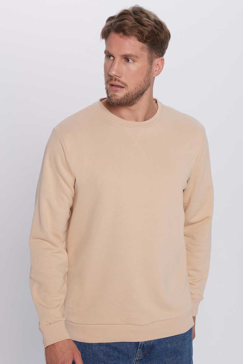 Plain Beige Sweatshirt