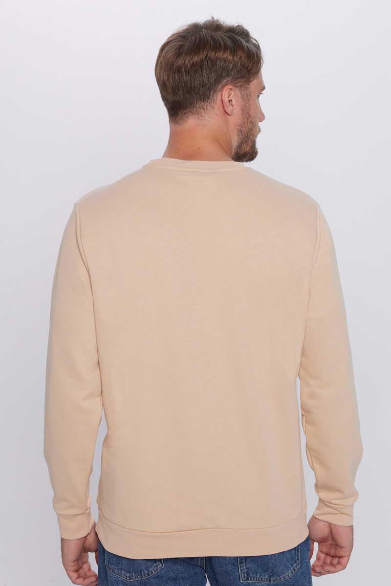 Plain Beige Sweatshirt