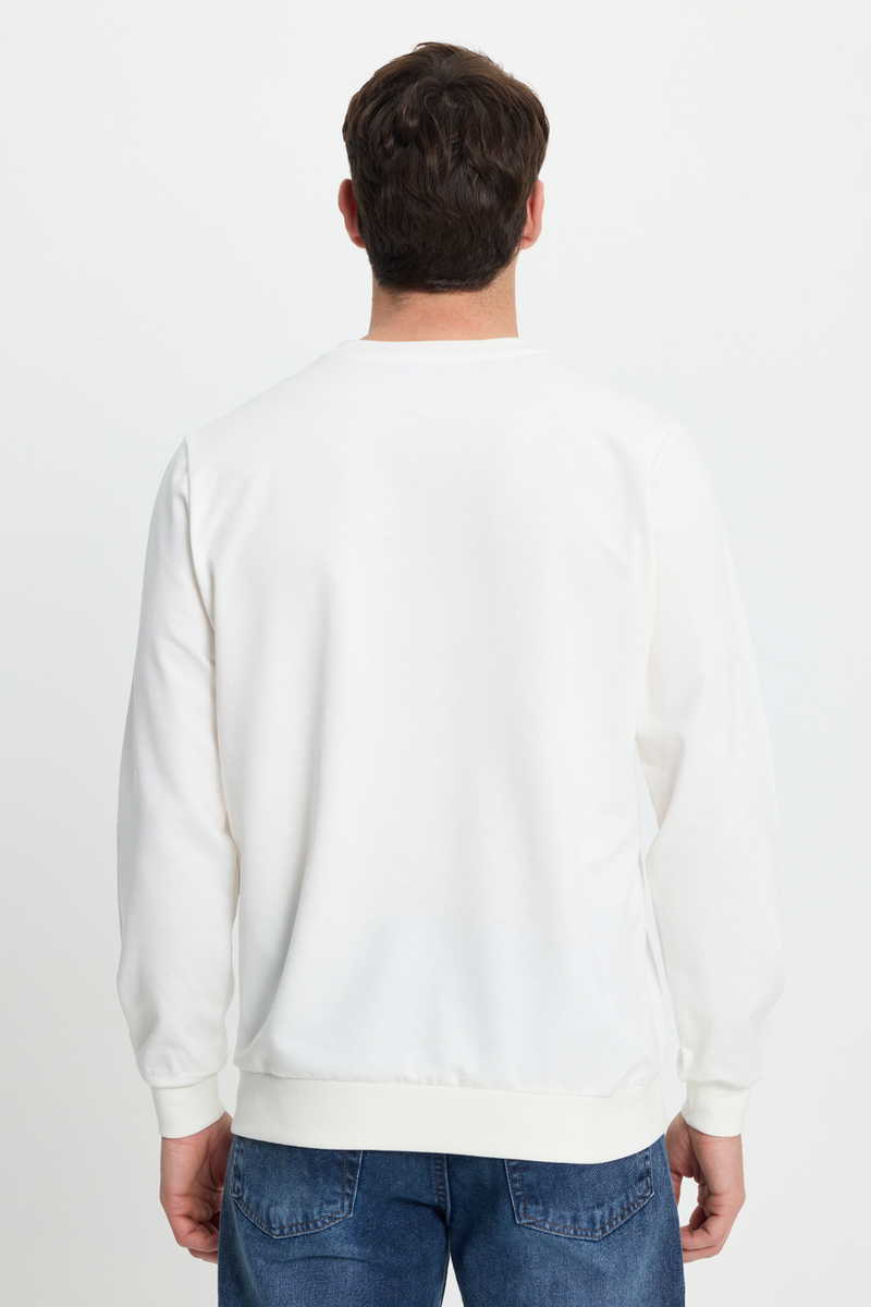 Plain White Sweatshirt Plain White Sweatshirt