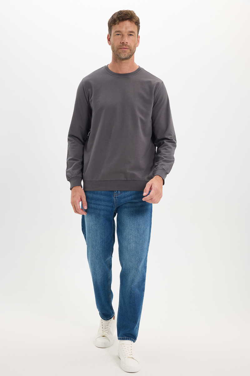 Plain  Sweatshirt
