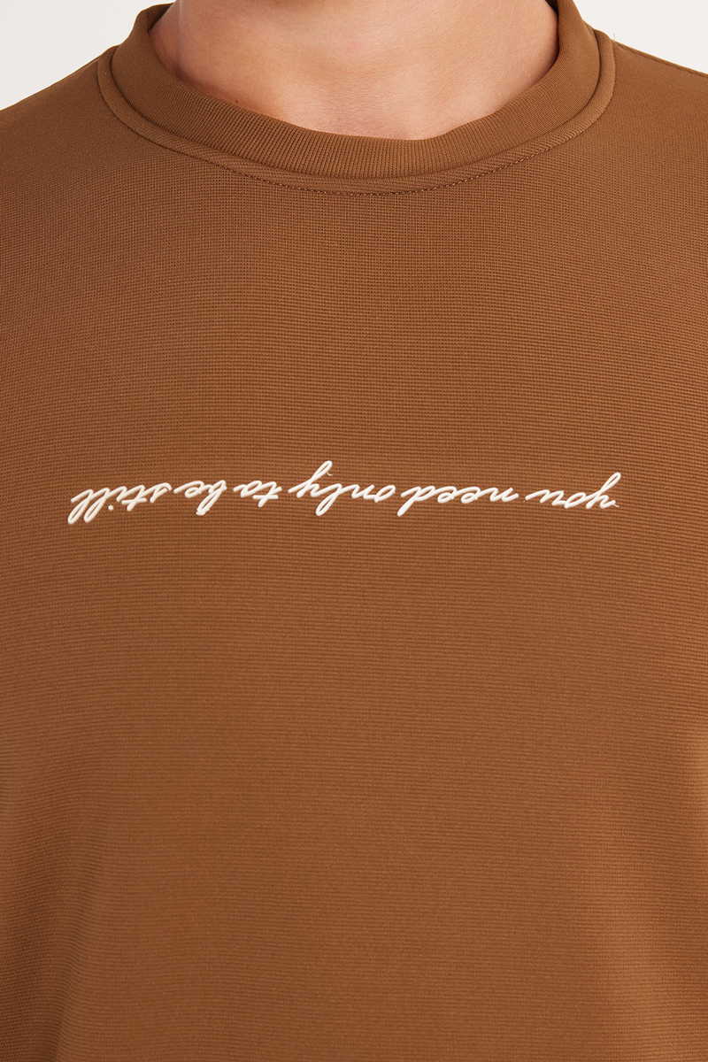 Plain Brown Sweatshirt